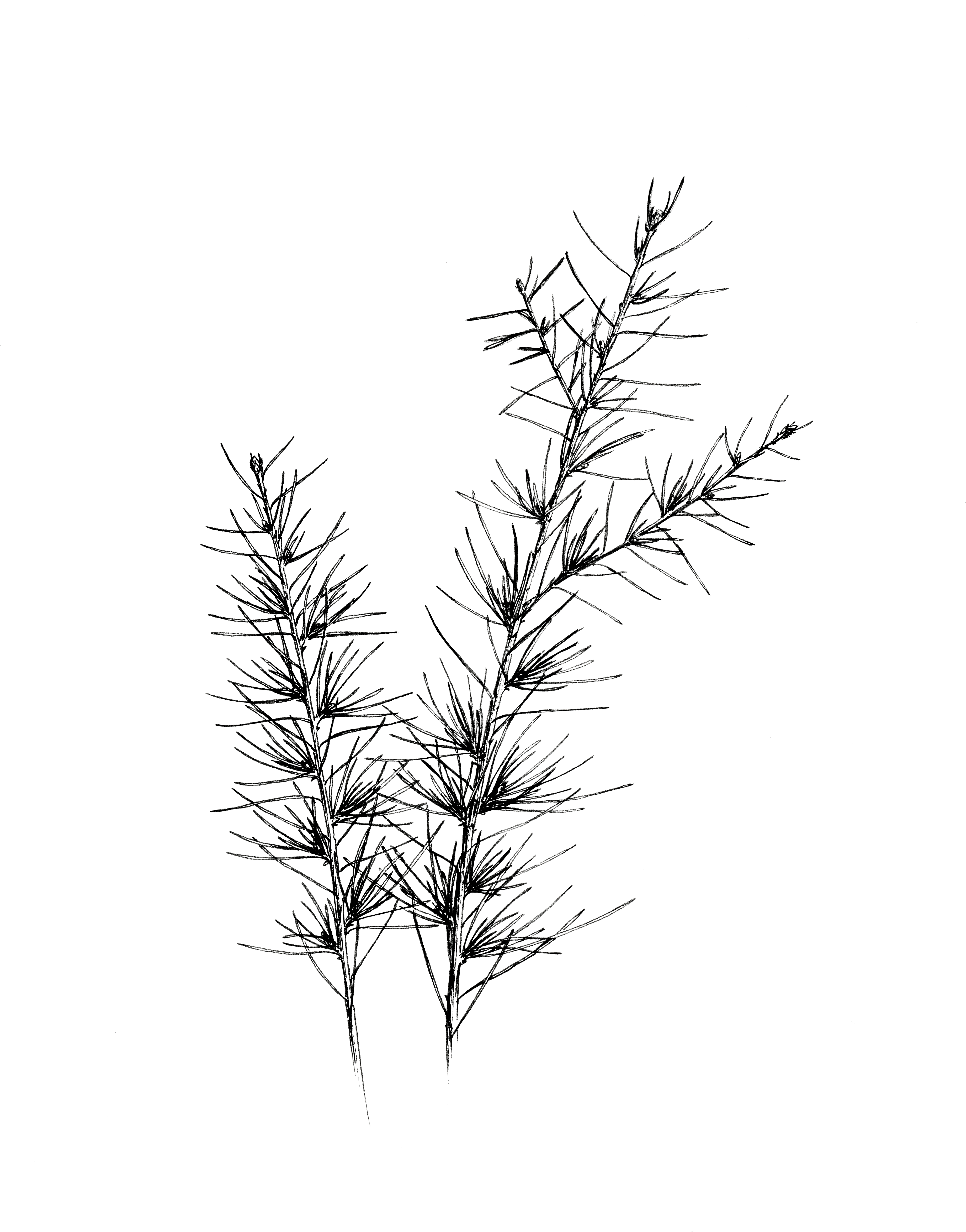 About - Illustration (3739x4802), Png Download