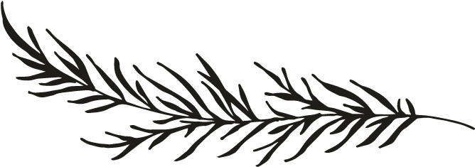 Clipart Resolution 696*696 - Black And White Pine Branch Png (696x696), Png Download