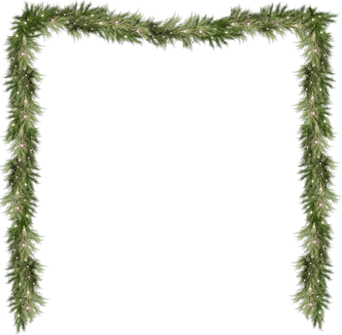 Pine Png Pine Branch Png Pine Branch - Pine (490x480), Png Download