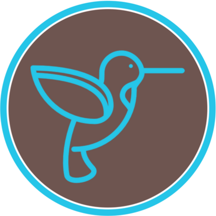 Preschool & Kindergarten - Duck (441x442), Png Download