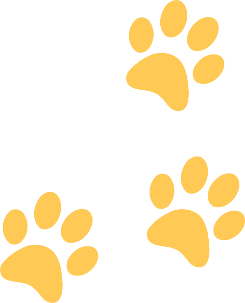 11 Small Panther Paw Print Images Free Cliparts That - Black And Gold Paw Print (480x594), Png Download