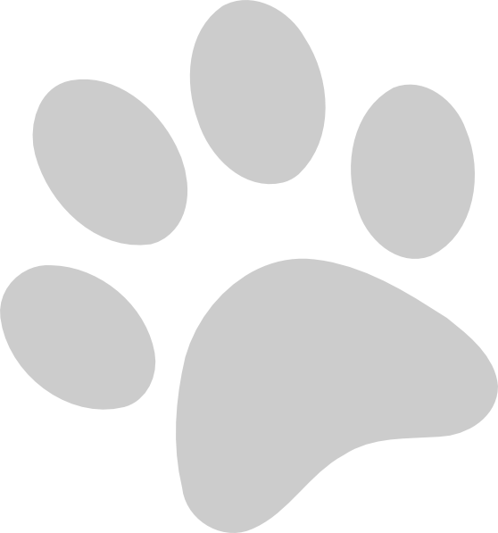 How To Set Use Blue Paw Print Clipart (558x597), Png Download