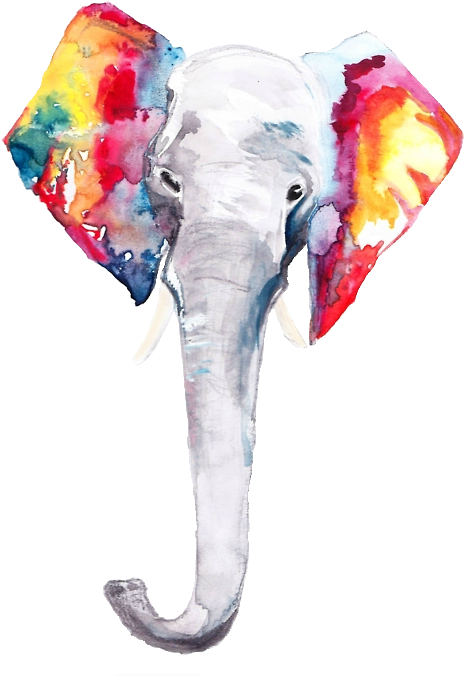 🍎, Ask Me Anything From Relationship Advice, Character - Dhz The King Of The Elephants Keyboard Cover Silicone (495x700), Png Download