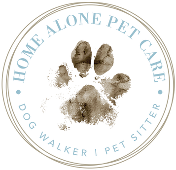 "i Can't Say More Amazing Things About Home Alone Pet - Protractor Actual Size Full Circle (383x384), Png Download