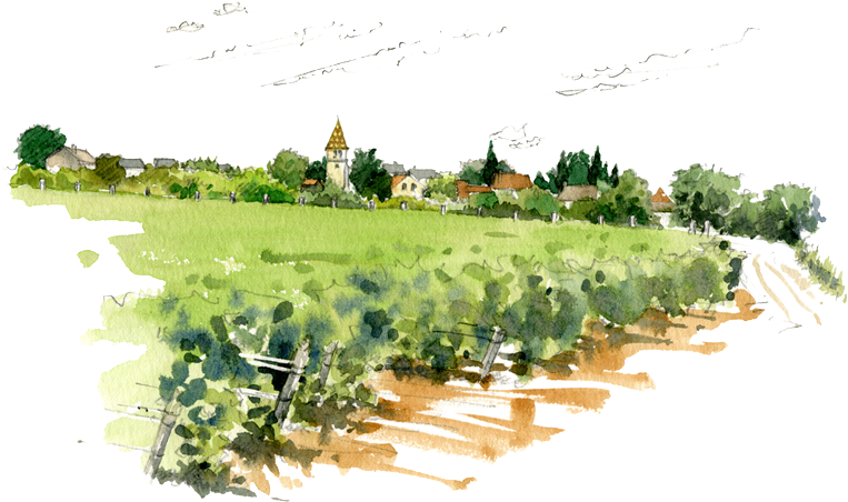 Its - Domaine Trapet (782x488), Png Download