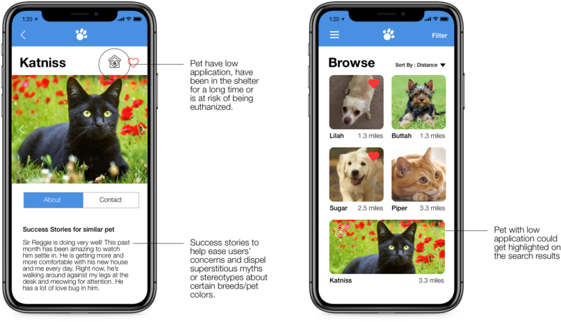 Less Popular Pets - Portable Network Graphics (1000x566), Png Download