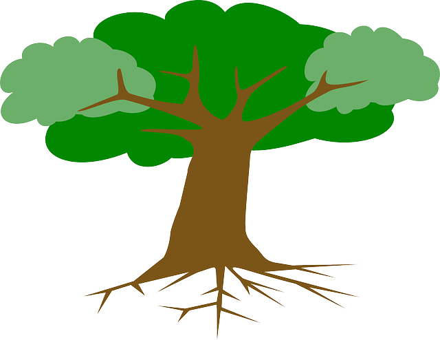 Tree, Roots, Leaves, Cross Section, Plant, Branches - Animated Tree With Roots (640x494), Png Download