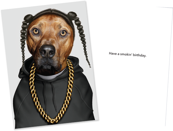 Behind The Card - Libreta Rap: Small Famous Faces Journal (pets Rock) (960x450), Png Download
