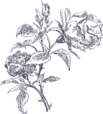 Flowers Arrangement - Magideal Vintage Black Paint Cat Metal Hollow Stationary (410x410), Png Download