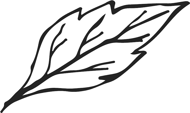 Leaf Sketch Rubber Stamp - Leaf Png Transparent Sketch (800x800), Png Download