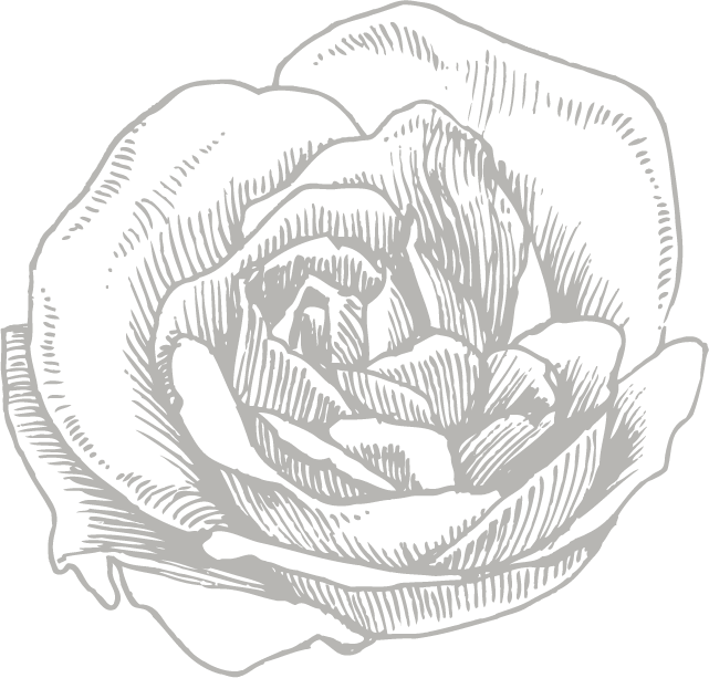 Download & Share Our Collection Catalog Below - Lulu Guinness Womens Navy & Chalk Ink Roses Flat (641x613), Png Download