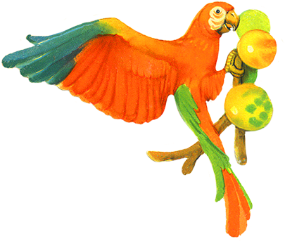 Parrot Eating Fruits Clip Art - Parrot Eating Fruit Clipart (413x375), Png Download