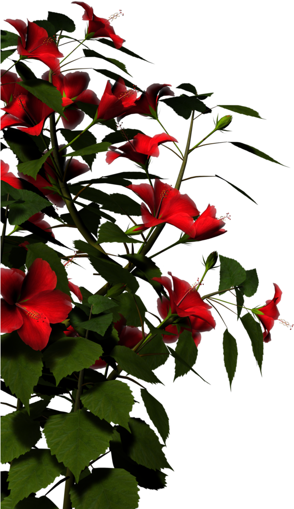 Nature Png Hd - Nature Png Images Hd (1024x1024), Png Download