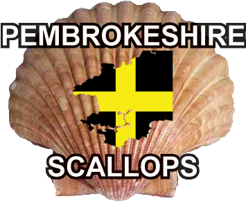Pembrokeshire Scallops - Scallop Shell (382x356), Png Download
