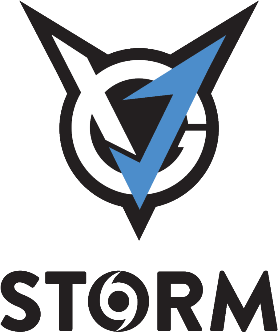 Vgj Storm Logo (1200x975), Png Download