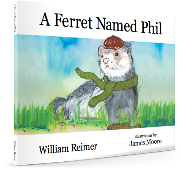 Ferret Named Phil (600x600), Png Download
