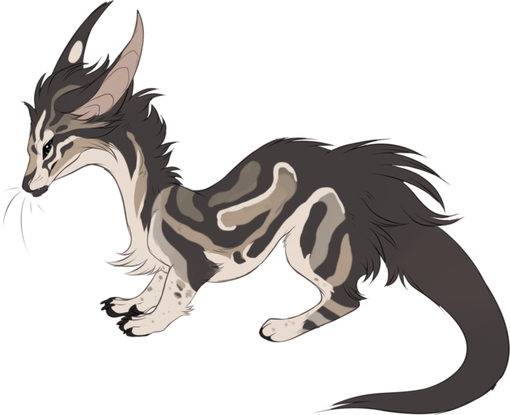 Ferret Cat Dragon - Ferret Dragon (991x807), Png Download