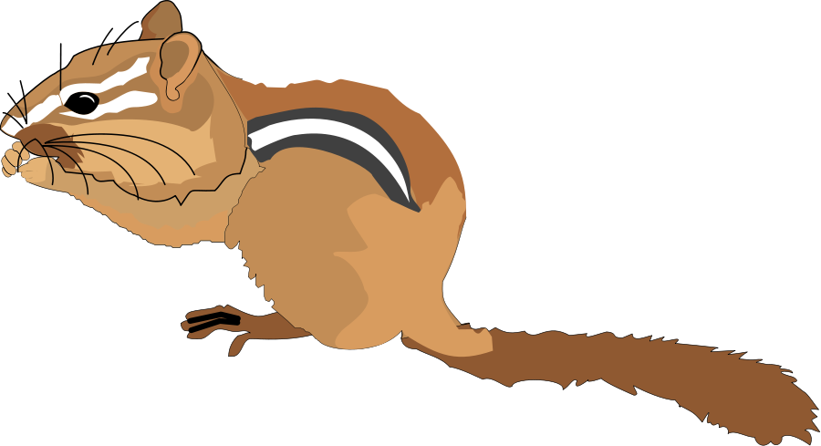 Chipmunk - Chipmunk Clip Art (800x434), Png Download