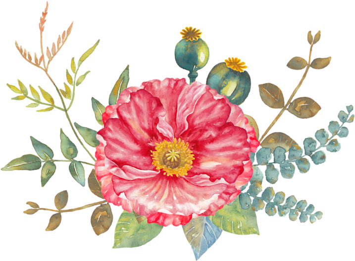 Фото, Автор Mimozochka На Яндекс - Watercolor Painting (800x642), Png Download