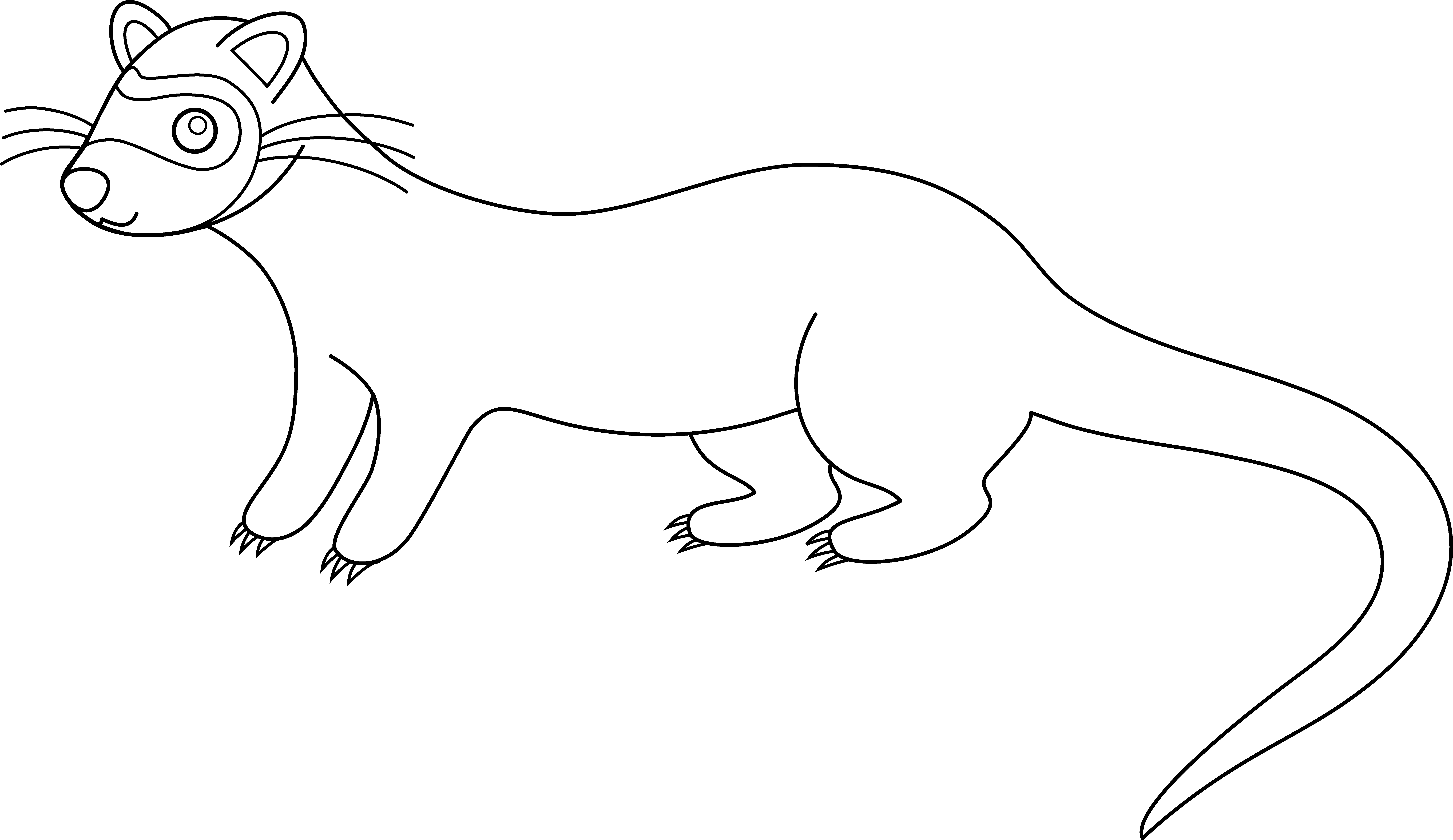 Ferret Clipart Transparent - Royalty-free (8352x4831), Png Download