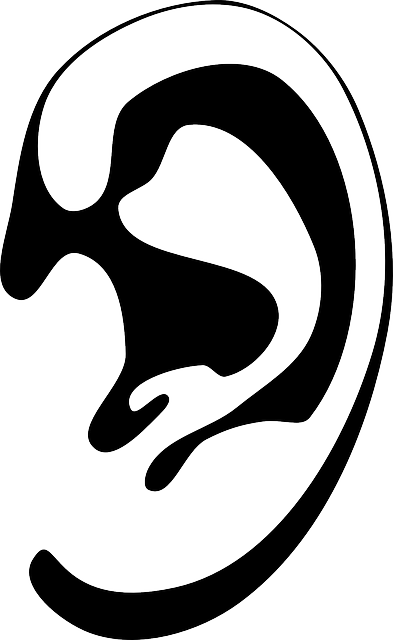 Listening Ears Images - Ear Silhouette (393x640), Png Download