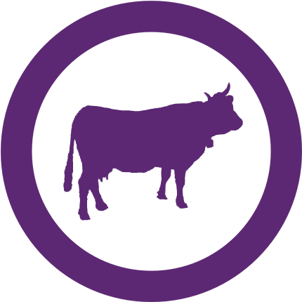 Http - //www - Buzzable - Biz/wp Blog Post - Save A Cow Eat A Vegan Note Cards (506x489), Png Download