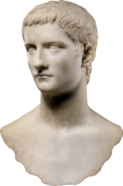 Caligula Roman Emperor Roman Empire Incitatus - Caligula Bust (495x750), Png Download