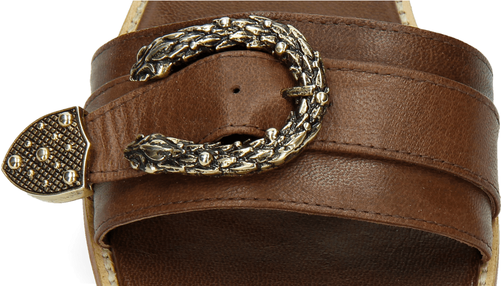 Mules Elodie 8 Vienna Dark Brown Big Buckle - Belt (1024x1024), Png Download