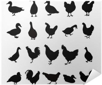 Chicken (400x400), Png Download