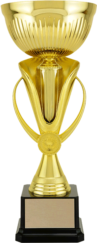 Recommended Personalization Method - Trophy (334x800), Png Download
