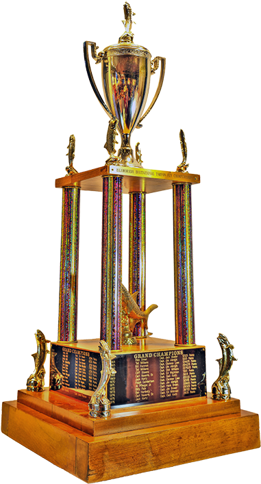 Trophy Clipart Grand Champion - Gold Cup (402x720), Png Download