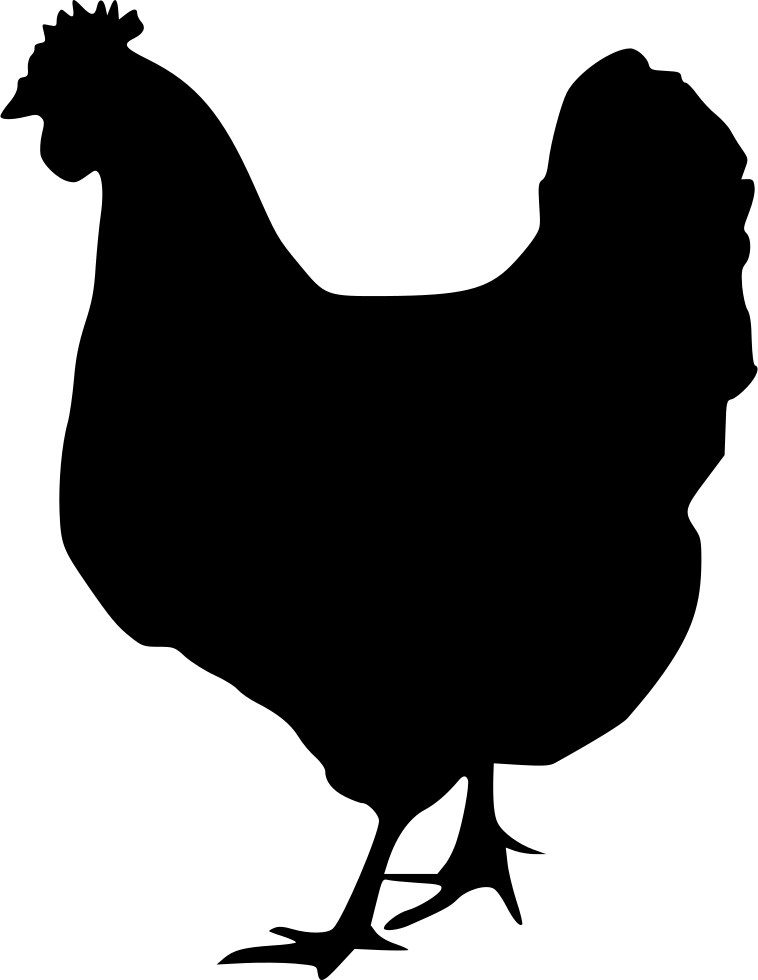 Chicken Svg Png Icon Free Download - Chicken Svg Free (758x980), Png Download