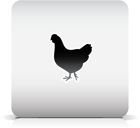 Rooster (595x595), Png Download