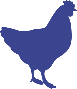 Poultry (600x600), Png Download