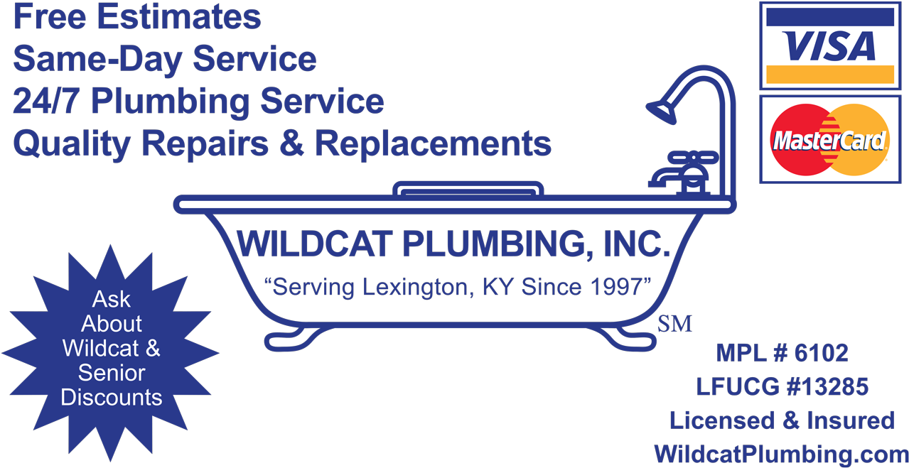 Home - Novosta Visa & Mastercard Vinyl Sticker Decal - (1540x700), Png Download