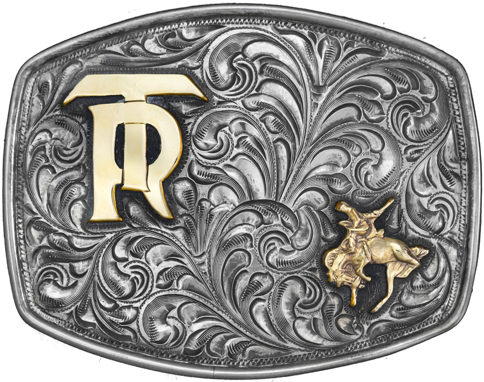 Tr Gold Rider Trophy - Gold (1024x1024), Png Download
