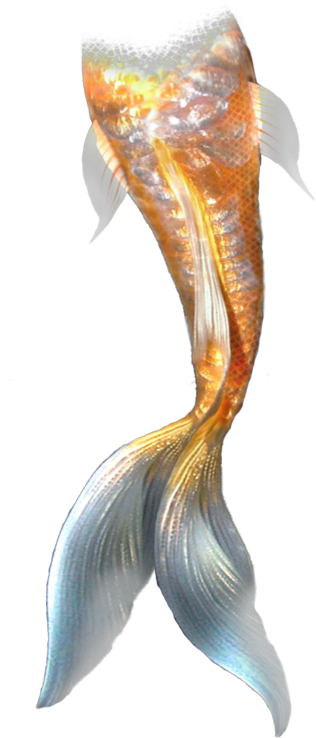 Download Mermaid Clipart Mermaid Tail Mermaid Mermaid Tail Transparent Mermaid Tail Full Size Png Image Pngkit