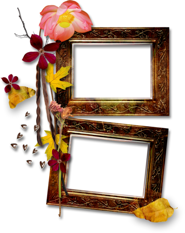 Cadre,frame,tube,png - Floral Design (600x754), Png Download