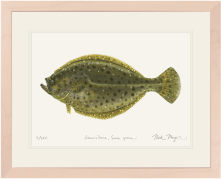 Fluke - Discounts And Allowances (480x401), Png Download