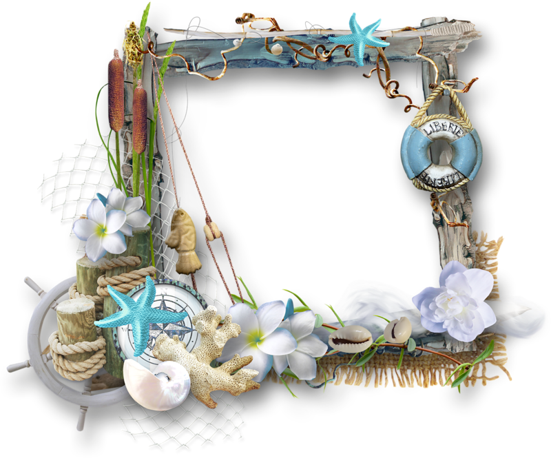 Http - //zezete2 - Centerblog - Net/40636 Marco Rahmen - Png Frames Tropical Transparent (800x665), Png Download
