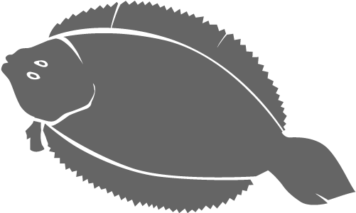 Repeat With Other 3 Fillets - Sole (700x400), Png Download