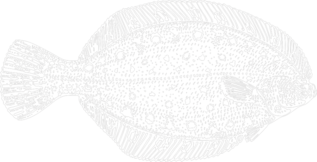 Plaice - Sole (1010x518), Png Download