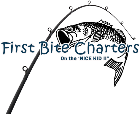 Charter Fishing Boston And The South Shore With First - Western Large Mouth Bass Decal 6x6 (482x385), Png Download