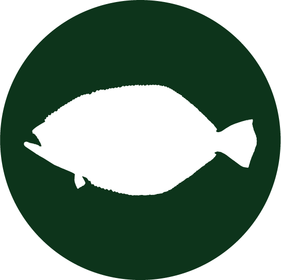 Animal Encounters - Bass - Bass - Flounder - Nussmilchbeutel, Passiertuch Für Nussmilch, Mandelmilch (554x553), Png Download