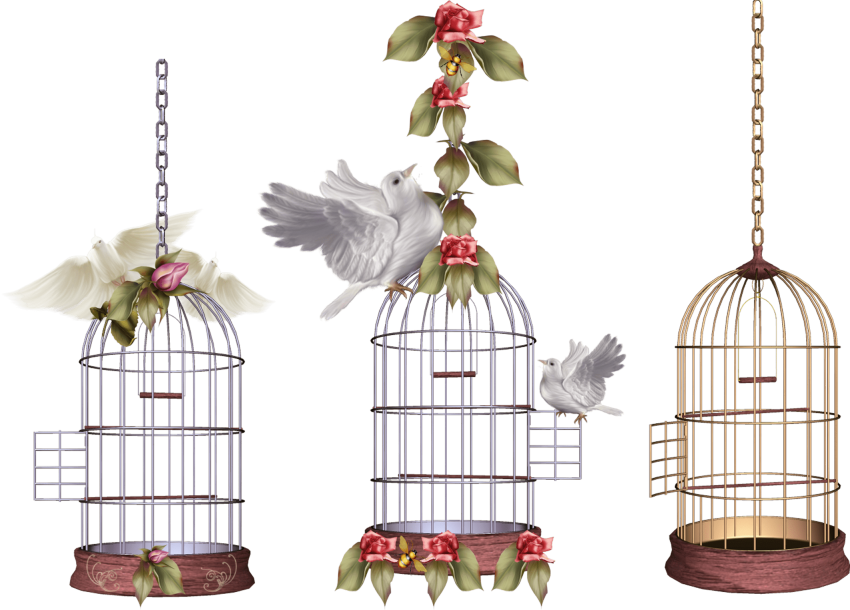 Free Png White Bird Cage Png Images Transparent - Клетка С Птицей Рисунок (850x610), Png Download