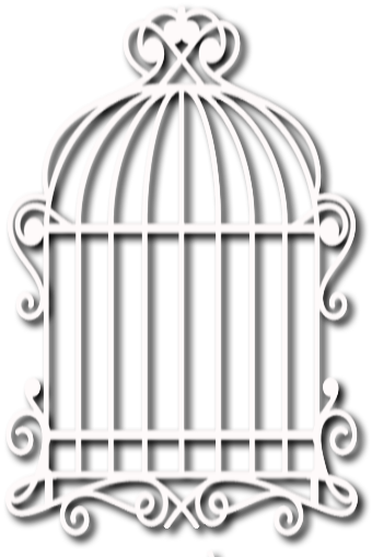 Home Lalapanzi Hotel - Cage (340x509), Png Download