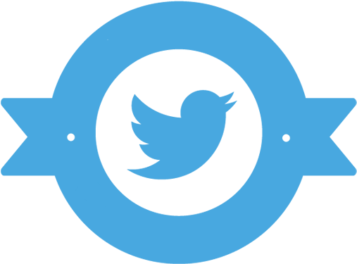 Add Twitter Timeline, Share Button, Follow Button, - Twitter Partner (536x374), Png Download