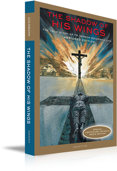 Here Is The Astonishing True Story Of The Harrowing - Shadow Of His Wings By Gereon Goldmann (500x699), Png Download