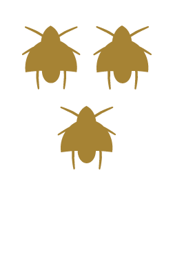 Faq - Tuscany (1000x600), Png Download