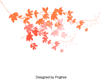 Cartoon Simple Hand-painted Autumn Leaf Design, Cartoon, - Autumn (360x360), Png Download